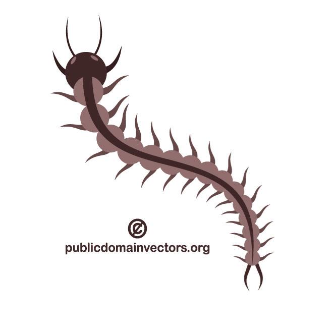 Centipede Vector Clip Art 660x660 Centipede Vector Clip Art