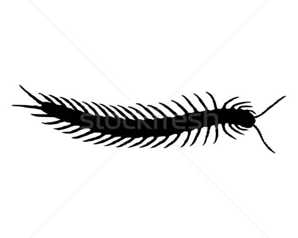Centipede Vector Illustration Robert Biedermann 600x480 Centipede Vector Illustration Robert Biedermann