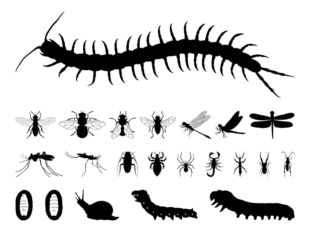 Insects Silhouettes Set Vector Art Graphics 1024x765 Insects Silhouettes Set Vector Art Graphics