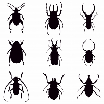 Centipede Png Images Vector And Free Download 360x360 Centipede Png Images Vector And Free Download