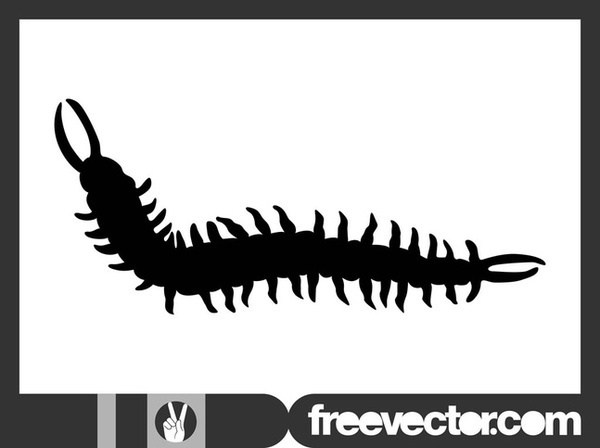 Centipede Silhouette Free Vector 600x448 Centipede Silhouette Free Vector