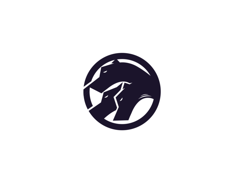 Cerberus Logo Version 800x600 Cerberus Logo Version