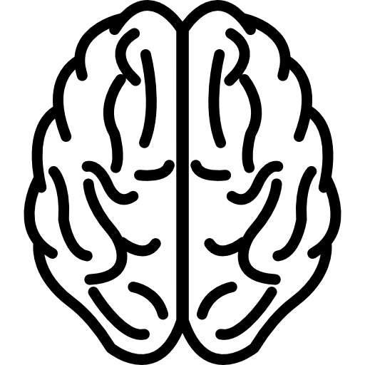 512x512 Cerebro Superior Vista Esquema Icono Gratuito Inspiracion