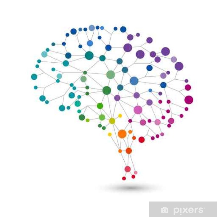 700x700 Fotomural Concepto Creativo Del Cerebro Humano, Vector