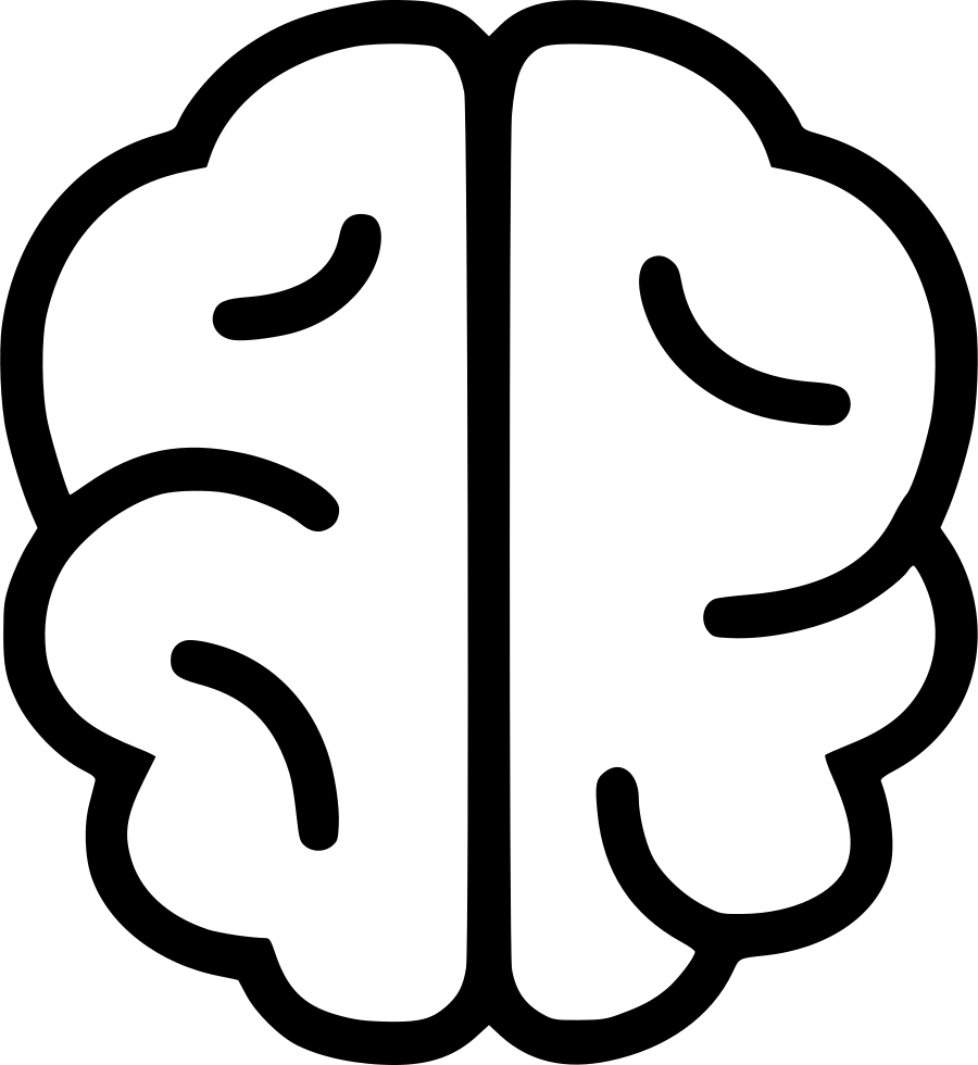 900x980 Hd Cerebro Vector Png