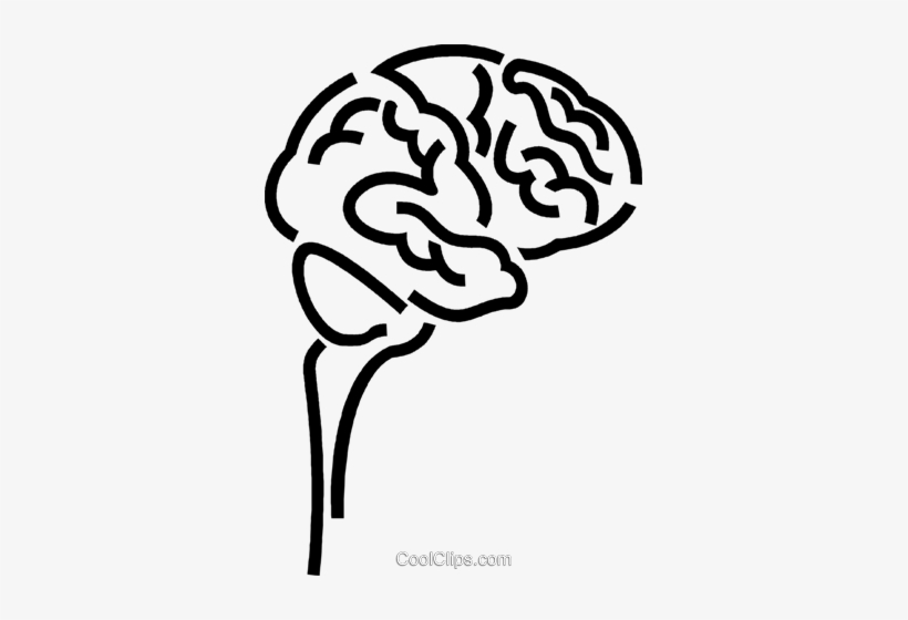 820x560 Human Brain Royalty Free Vector Clip Art Illustration