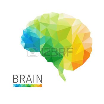 350x350 Cerebro Concepto Creativo Del Cerebro Humano Se Compone De