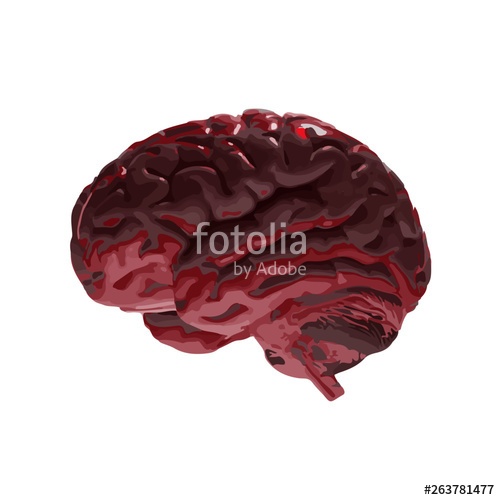 500x500 Cerebro Stock Image And Royalty Free Vector