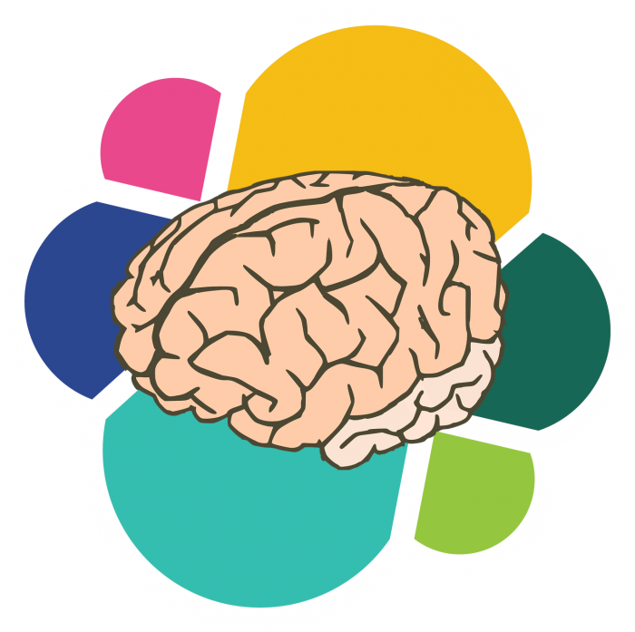 700x697 Cerebro Png Vector, Clipart