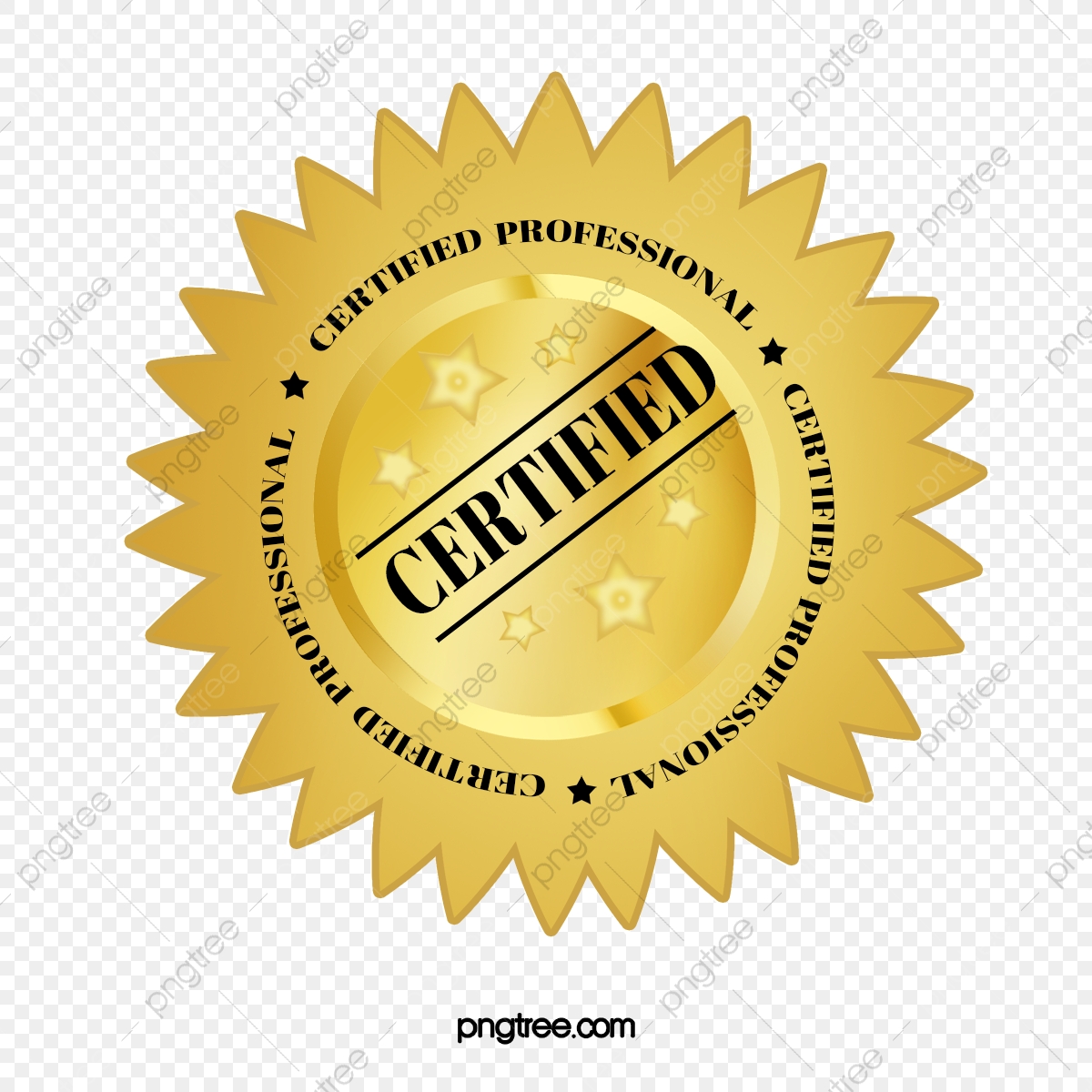 1200x1200 Vector Certified Professional Badge, Authenticate, Badge