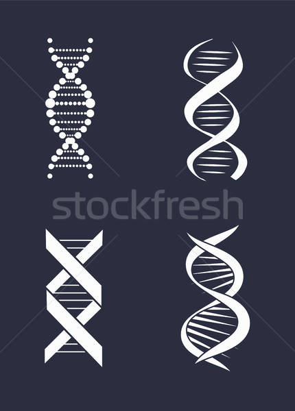 430x600 Collection Of Dna Deoxyribonucleic Acid Chain Logo Vector