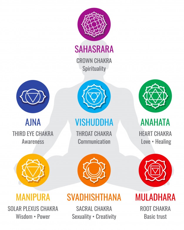 626x782 Chakra Vectors, Photos And Free Download