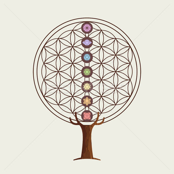 600x600 Flower Of Life Concept Tree With Yoga Chakras Vector Illustration