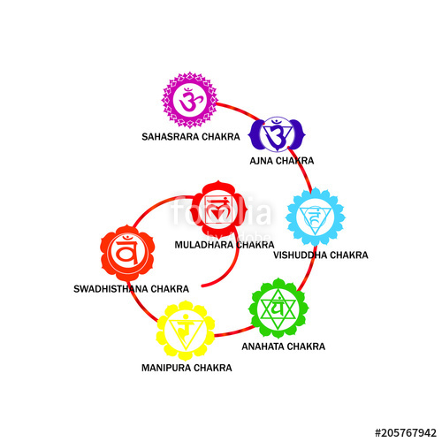 500x500 Seven Chakras Vector Illustration Stock Image And Royalty Free