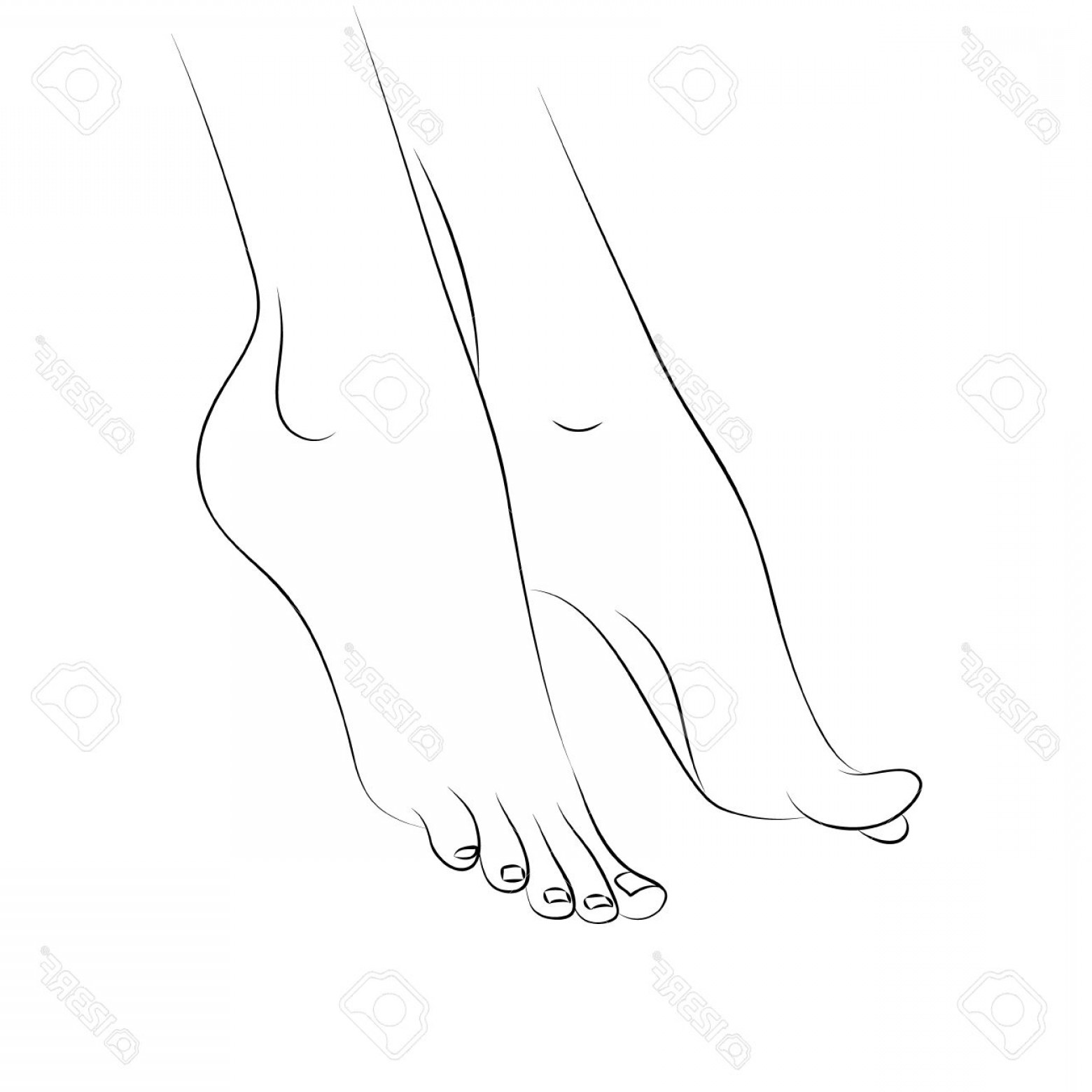 1560x1560 Photostock Vector Woman S Feet Outline Vector Isolated On White