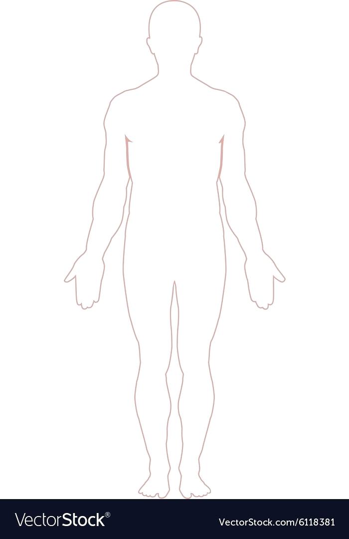 700x1080 Outline Of Body