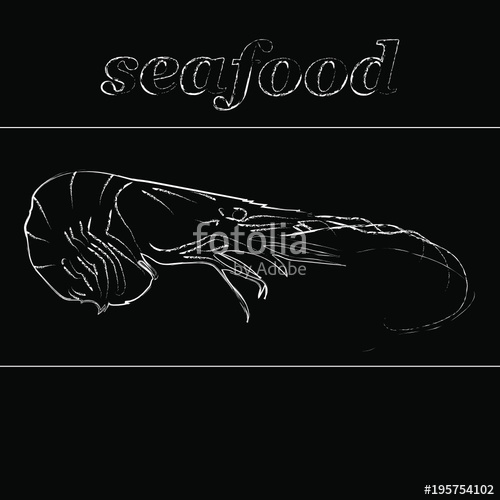 500x500 Seafood Menu Design With Chalkboard Texture Vector Illustration