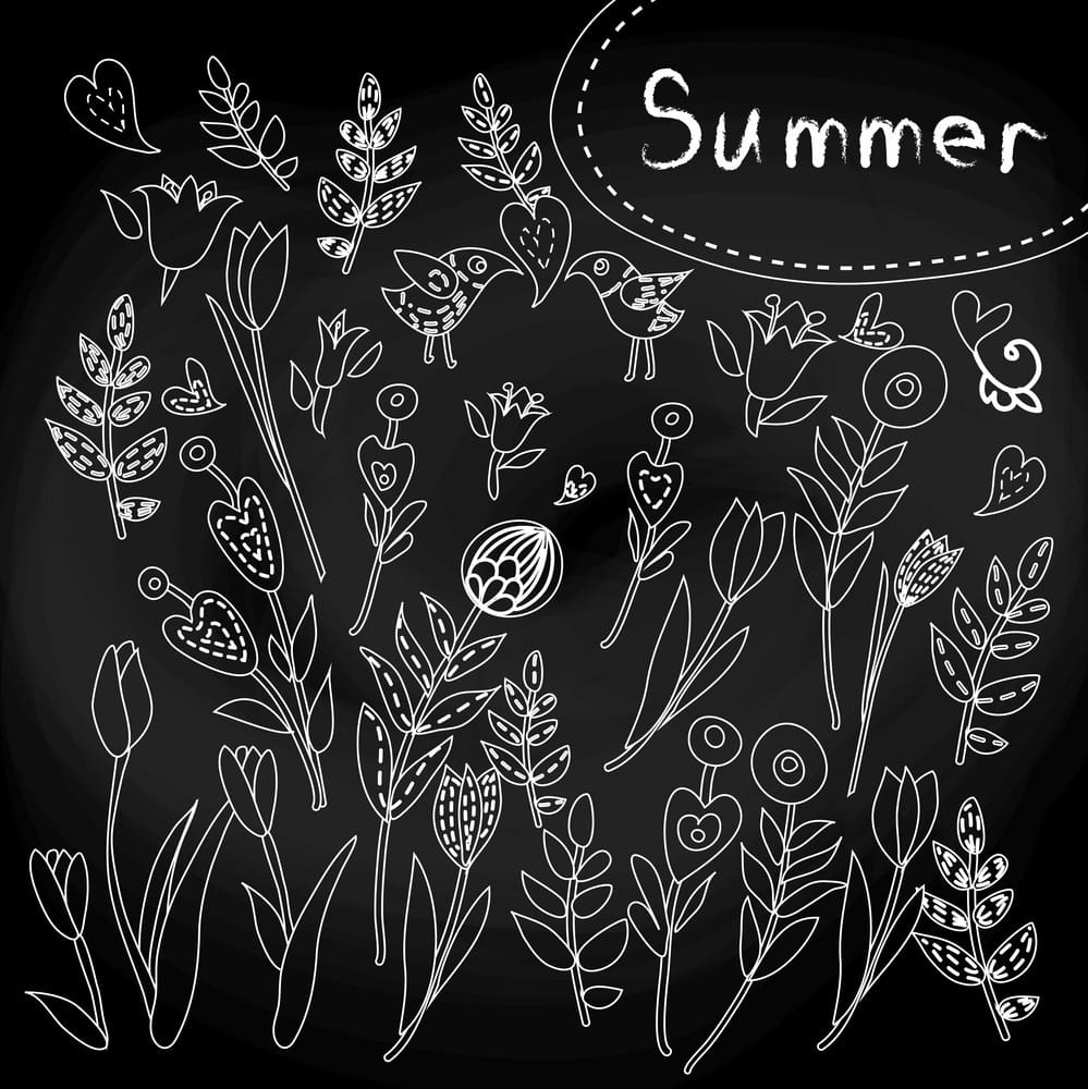 999x1000 Floral Set On Chalkboard Vector Free Graphics Uihere