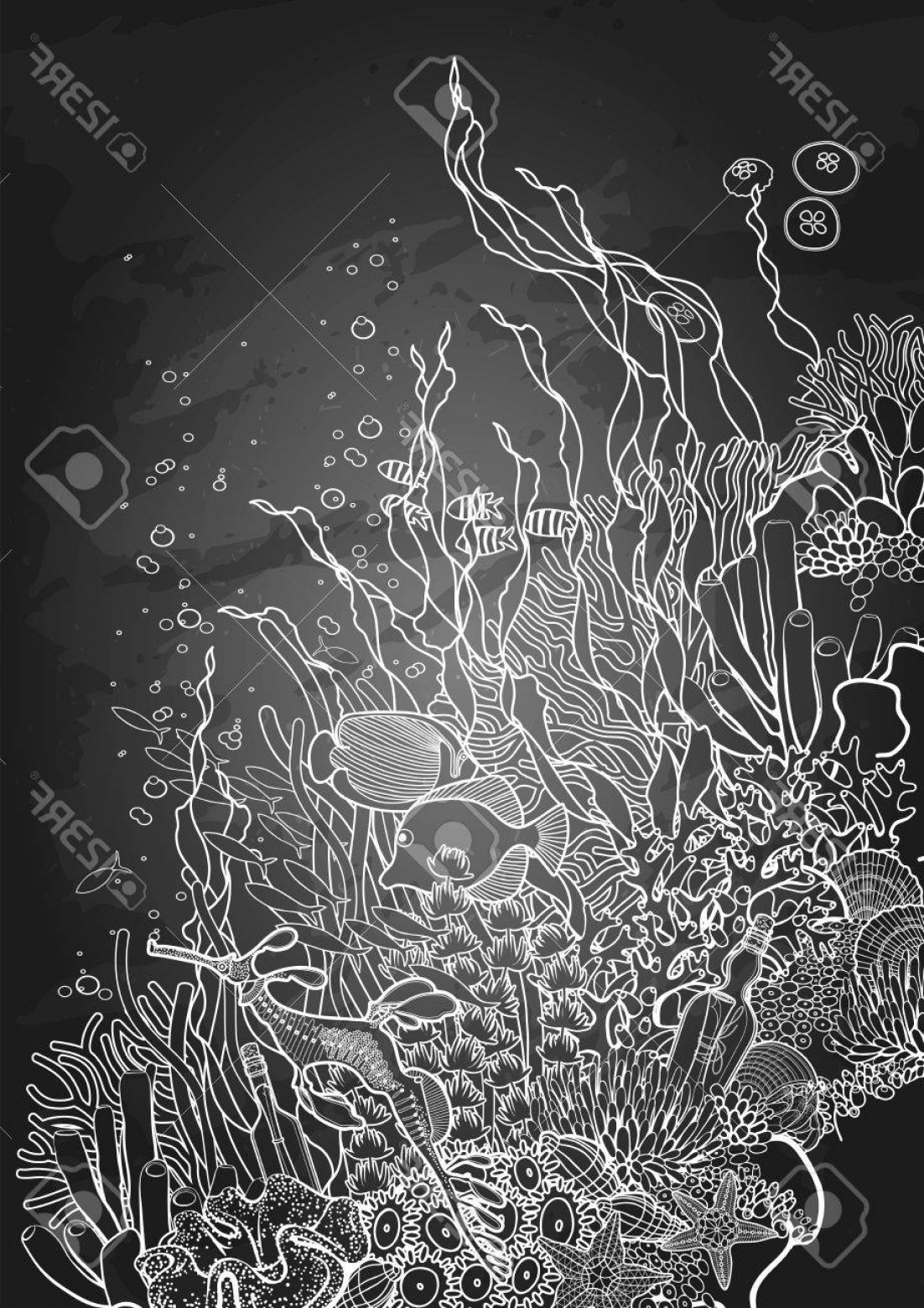 1102x1560 Black Coral Vector Art Hoodamathrun
