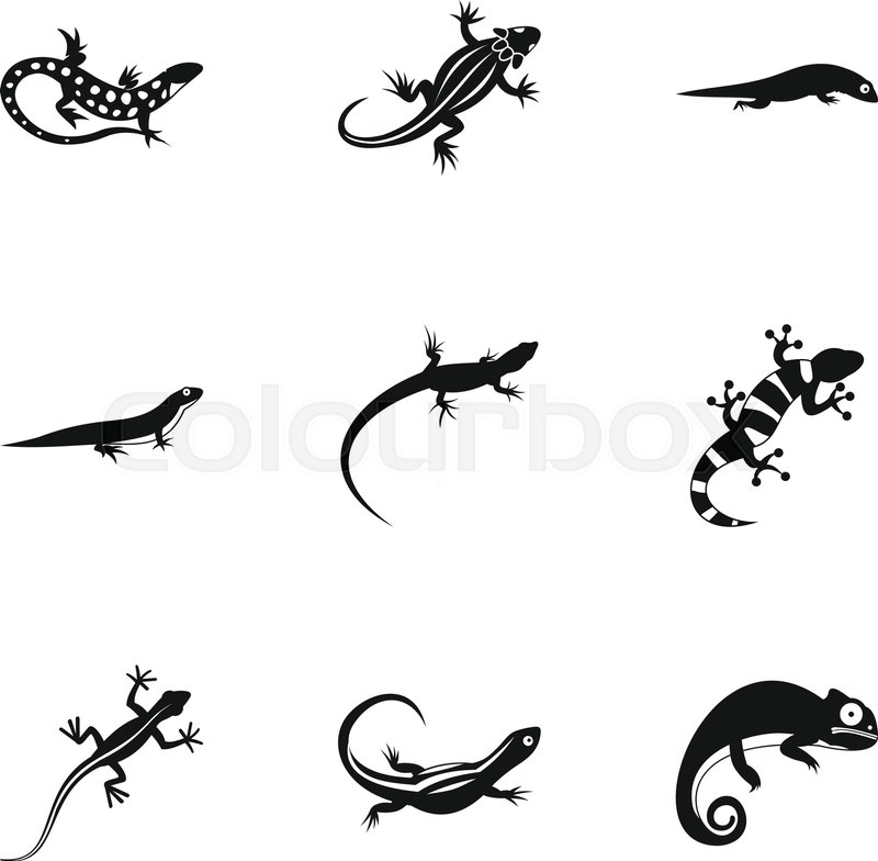 800x784 Chameleon Icons Set Simple Stock Vector Colourbox