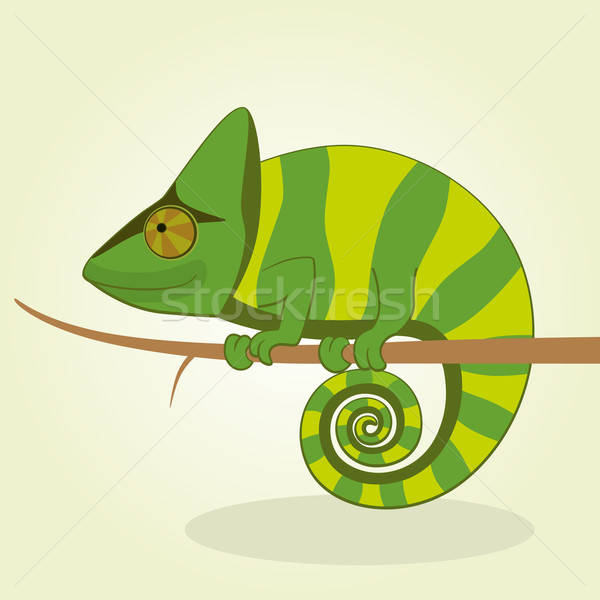 600x600 Chameleon Vector Illustration Volodymyr Dmytriienko