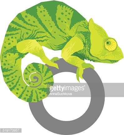 398x431 Colorful Chameleon Vector Premium Clipart