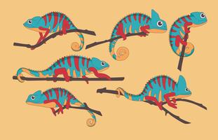 311x200 Chameleon Free Vector Art