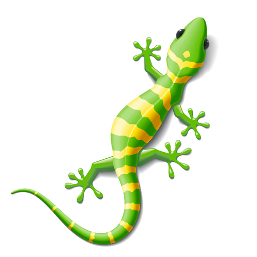 500x500 Set Of Vivid Cute Chameleon Vector Free Download