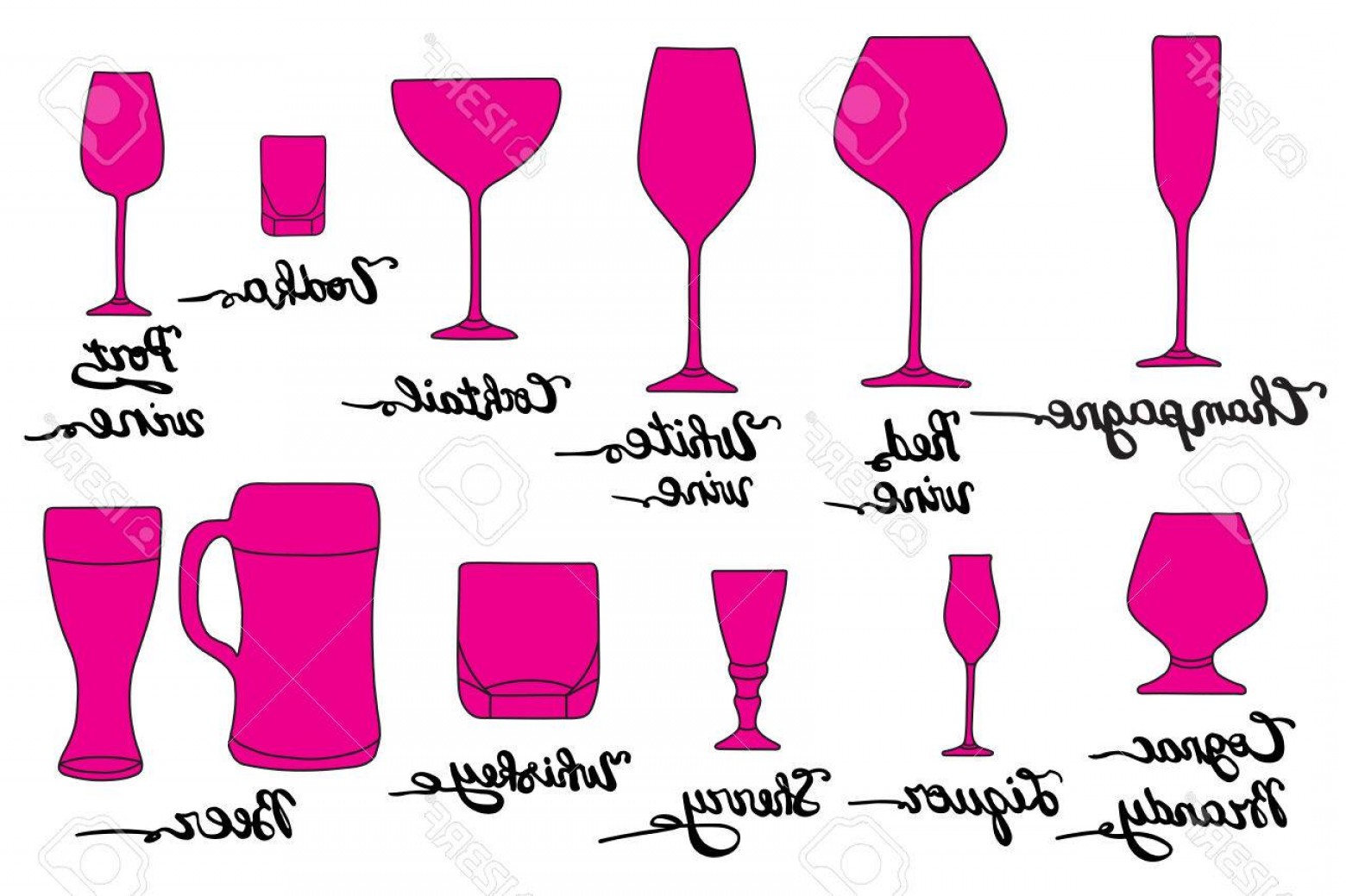 Photostock Vector Set Of Various Glasses Champagne Red Wine White 1560x1039 Photostock Vector Set Of Various Glasses Champagne Red Wine White