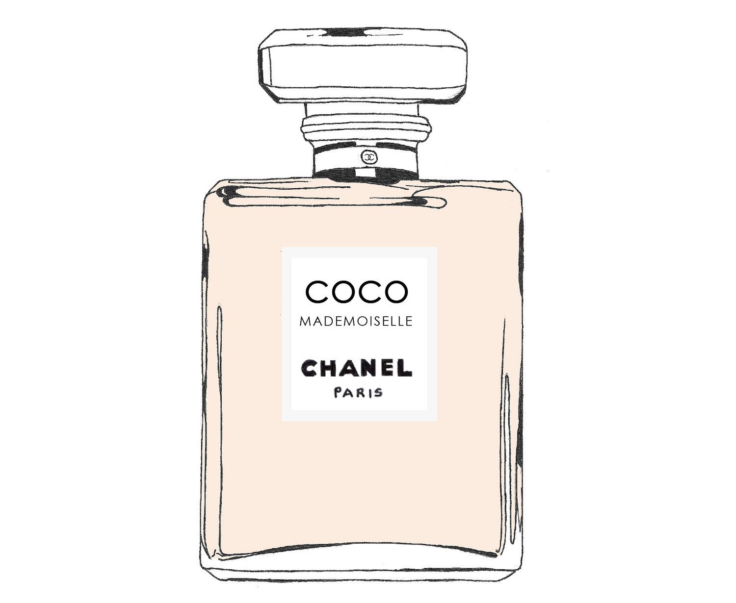 Chanel Perfume Vector at Vectorified com Collection of Chanel Perfume