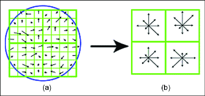 671x317 Characteristic Vectors Are Generated
