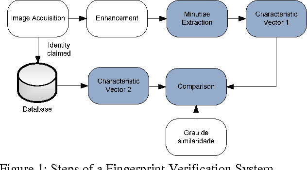 632x350 Figure From Fingerprint Verification Using Characteristic Vector