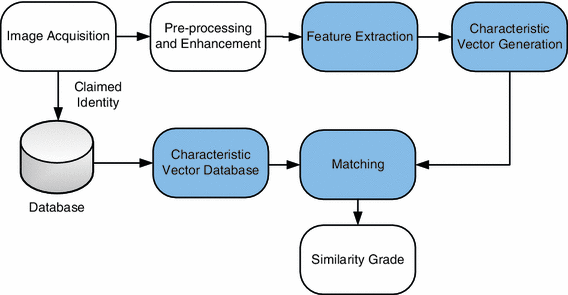 568x295 Fingerprint Verification Using Characteristic Vectors Based