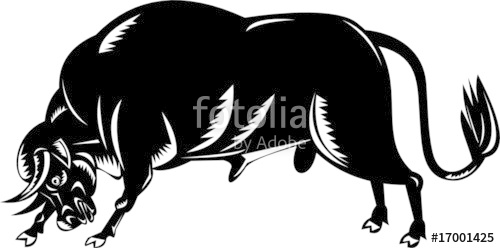 500x248 Attacking And Charging Bull Stock Image And Royalty Free Vector