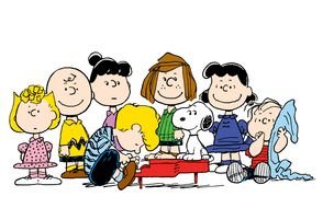 294x190 Charlie Brown Broom Images