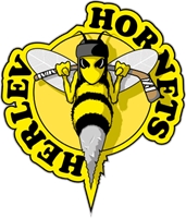 171x200 Charlotte Hornets Logo Vector