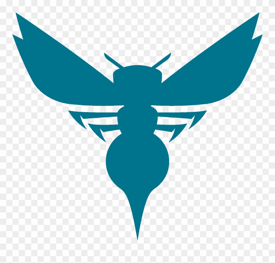 880x842 Charlotte Hornets Vector