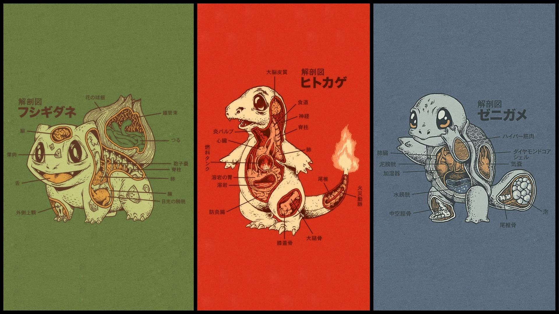 1920x1080 Charmander Vector