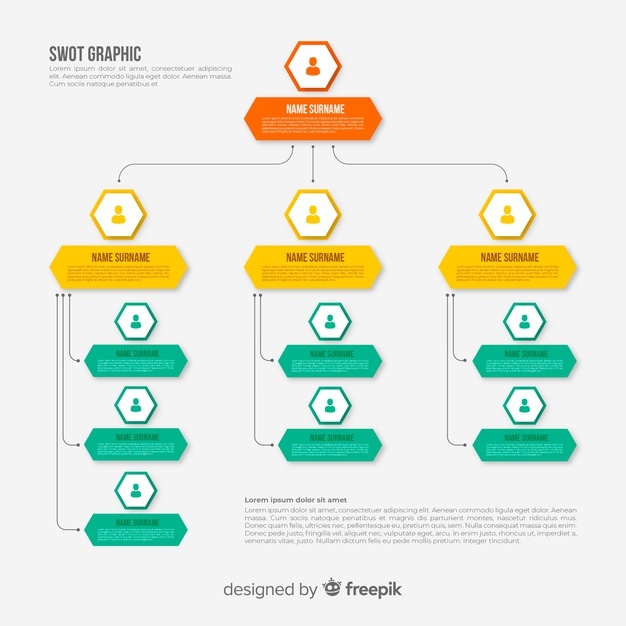 626x626 Organization Chart Vectors, Photos And Free Download