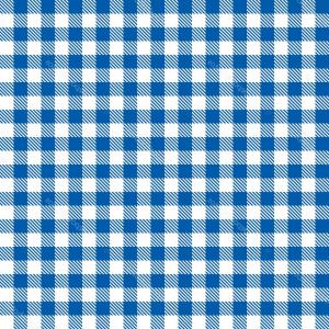 Checkerboard Pattern Seamless Vector Checkered Background 300x300 Checkerboard Pattern Seamless Vector Checkered Background