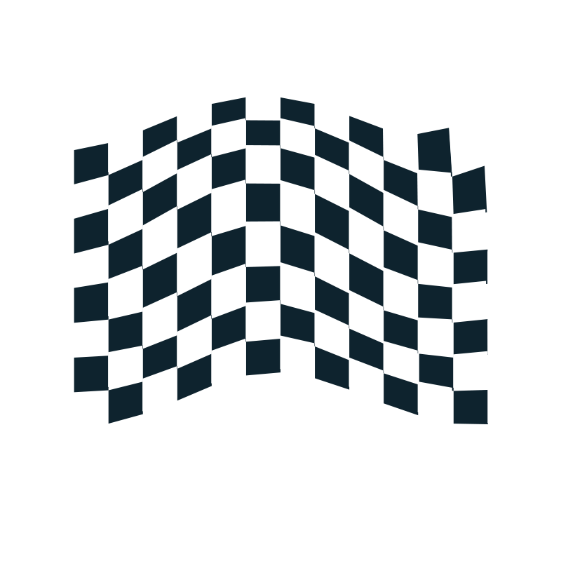 800x800 Chequered Flag Icon