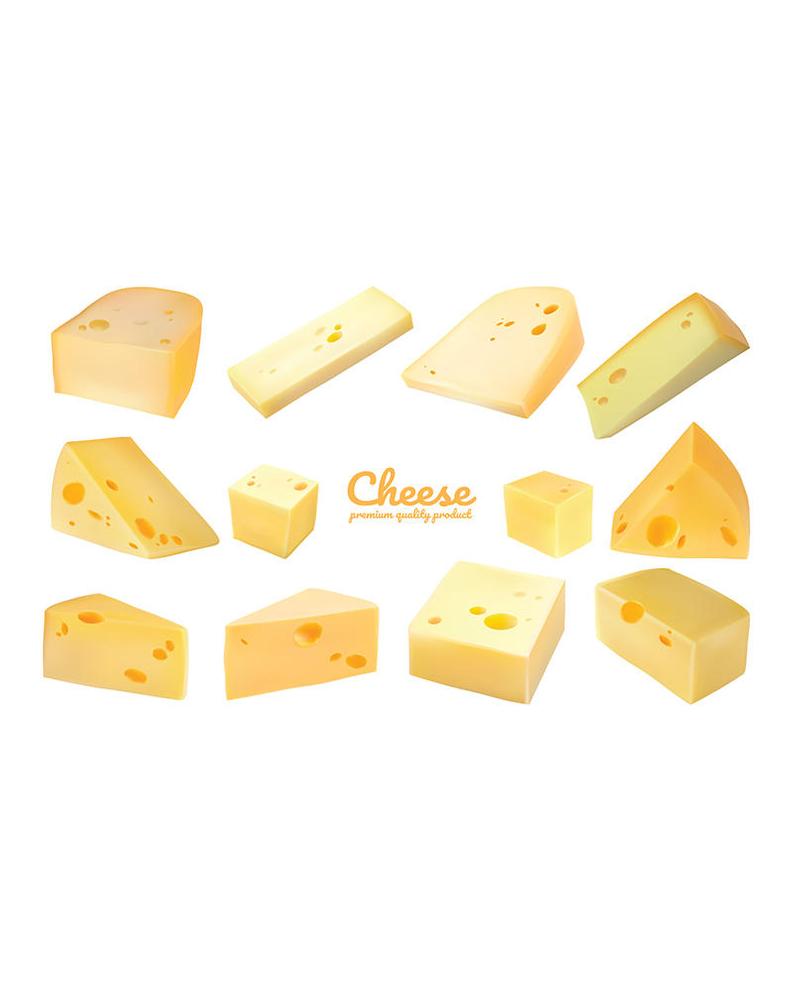 Cheese Vector