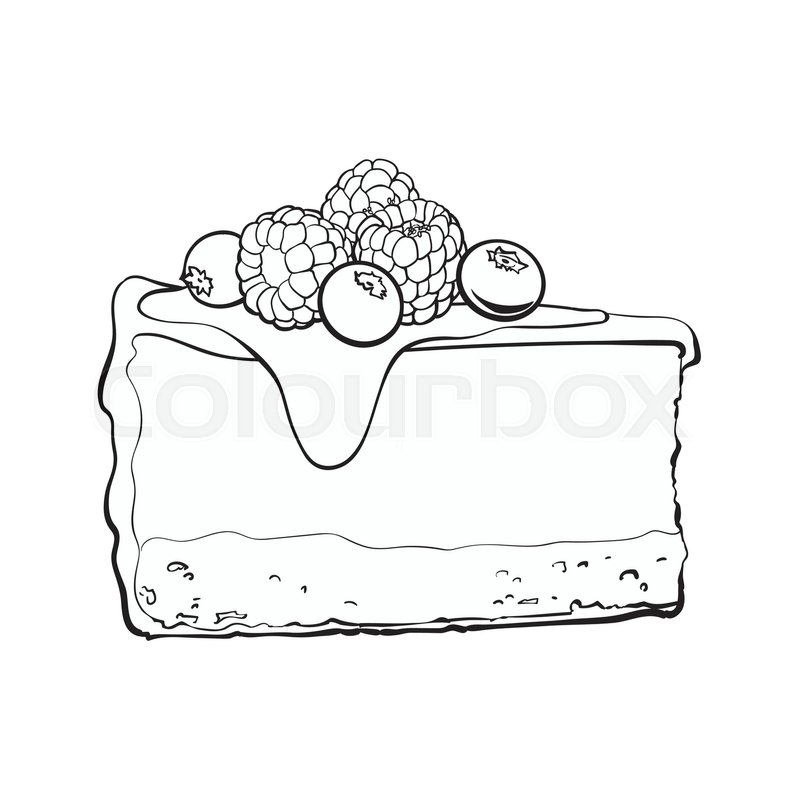 Cheesecake Vector