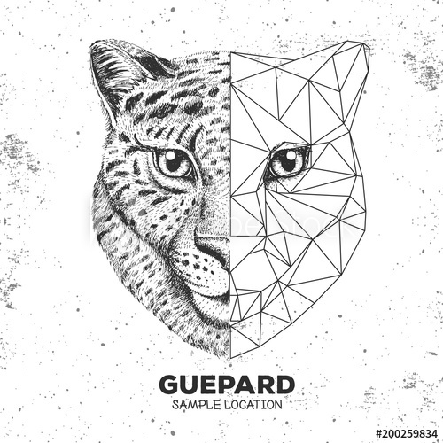 Hipster Animal Realistic And Polygonal Cheetah Face 500x500 Hipster Animal Realistic And Polygonal Cheetah Face