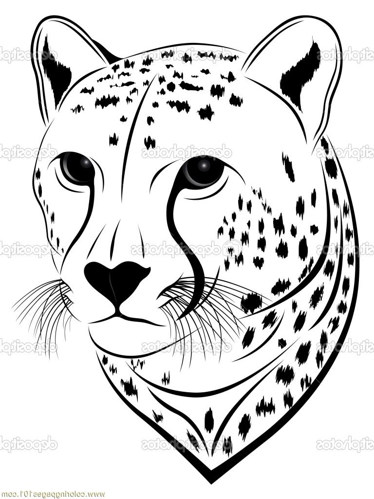 Huge Collection Of 'cheetah Face Drawing' Download More Than 768x1024 Huge Collection Of 'cheetah Face Drawing' Download More Than
