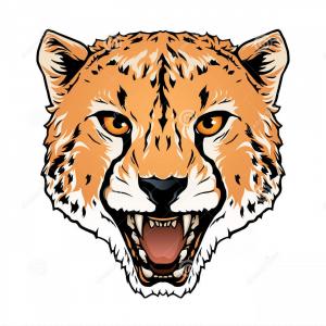 Image Of An Cheetah Face On Black Background Vector Savoyuptown 300x300 Image Of An Cheetah Face On Black Background Vector Savoyuptown