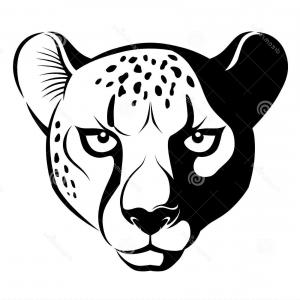 Photopink Cheetah Print Seamless Pattern Vector Animal Background 300x300 Photopink Cheetah Print Seamless Pattern Vector Animal Background