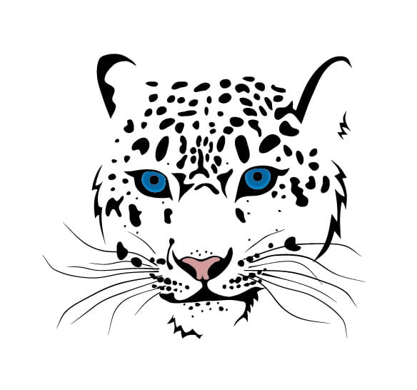 Set Of Cheetah Vector Picture Art Free Graphics Uihere 584x546 Set Of Cheetah Vector Picture Art Free Graphics Uihere