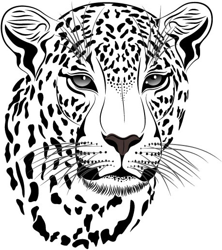 Set Of Cheetah Vector Picture Art Free Vector In Encapsulated 456x512 Set Of Cheetah Vector Picture Art Free Vector In Encapsulated