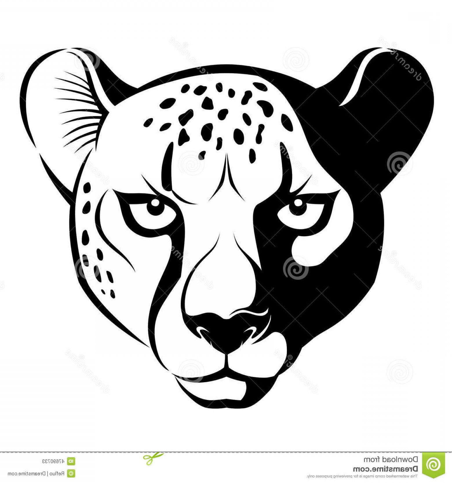 Stock Illustration Cheetah Face Vector Isolated White Background 1560x1668 Stock Illustration Cheetah Face Vector Isolated White Background